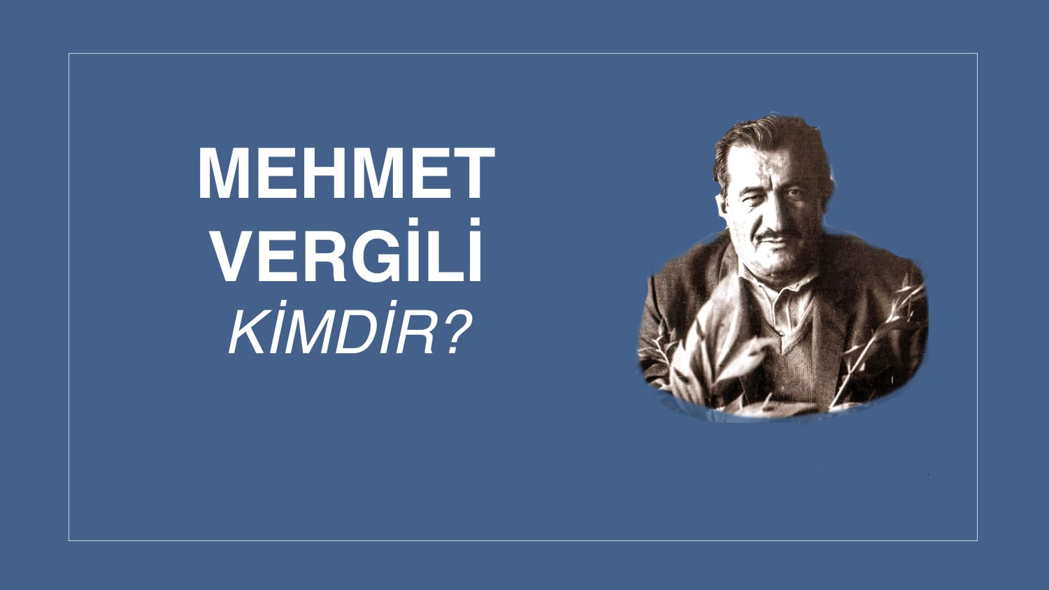 MEHMET VERGİLİ